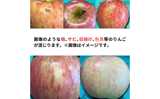 【11月下旬より発送開始】産地直送 青森県産サンふじ 5キロ箱 10〜23玉 青森県産りんご【配送不可地域：離島】【1288117】