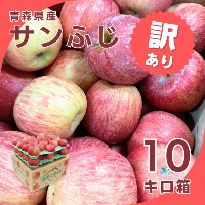 【令和7年1月下旬頃発送】産地直送 青森県産 訳ありサンふじ10キロ箱 26〜46玉 青森県産りんご【配送不可地域：離島・沖縄県】【1288124】