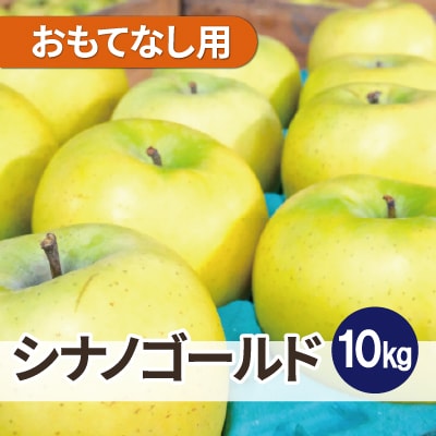 【26年3月出荷予定】平均糖度13度以上! シナノゴールド 約10kg おもてなし用【配送不可地域：離島・沖縄県】【1612911】