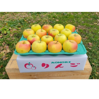 【訳あり】青森県産りんご「家庭用ぐんま名月家庭用」約5kg　産地直送!【配送不可地域：離島】【1751603】