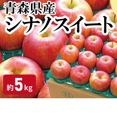 【青森市産】糖度13度以上!おもてなし用シナノスイート 約5kg【配送不可地域：離島・沖縄県】【1521227】