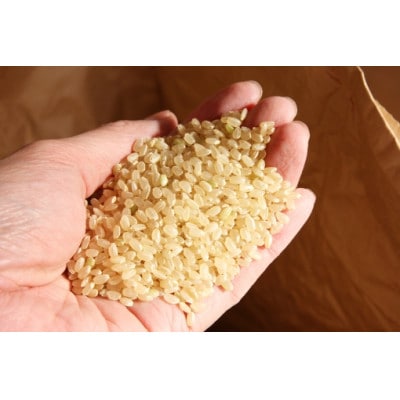 【毎月定期便】青森県産　天匠米あさゆき　白米5kg【青森米】全3回【4076592】