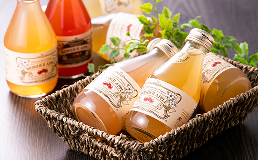 カルネ りんごジュース 12本セット【1076429】