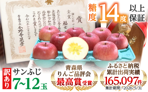 【りんご品評会最高賞】「サンふじ」約3kg・糖度14度以上保証・訳あり 家庭用 りんご【配送不可地域：離島】【1106865】