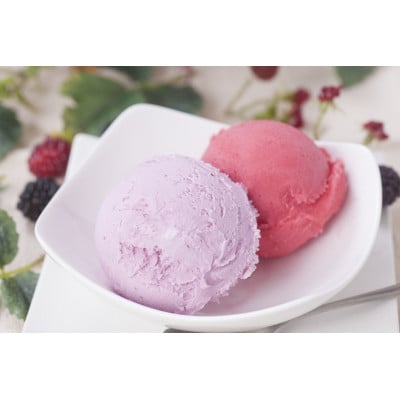 çžæããªãŒã¢ã€ã¹4皮詰ãåãããåèš10åã»ãããé
éäžå¯å°åïŒé¢å³¶ãã1284410ã