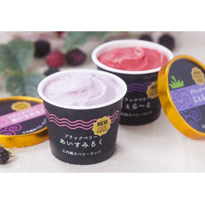 縄文ベリーアイス4種詰め合わせ　合計6個セット【配送不可地域：離島】【1284409】