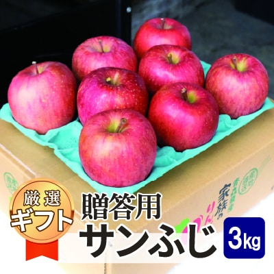 【25年11月出荷予定】平均糖度13度以上! サンふじ 約3kg 贈答用【配送不可地域：離島・沖縄県】【1612830】