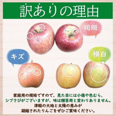 【青森市産】糖度13度以上!訳あり 葉とらずサンふじ 家庭用 約5kg【配送不可地域：離島・沖縄県】【1532631】