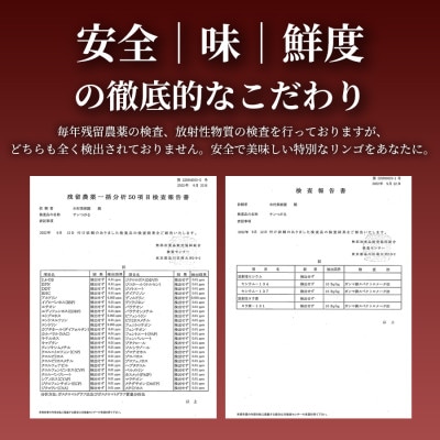 【青森直送 季節の味覚をお届け!】サン美丘 3個入×2箱(贈答用)青森産 産地直送 限定生産【配送不可地域：離島】【1700968】