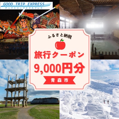 縲触OOD TRIP EXPRESS縲鷹搨譽ョ蟶ゅ↓豕翫∪繧区羅陦後け繝シ繝昴Φ縲9,000蜀蛻縲 ACA003縲1693036縲