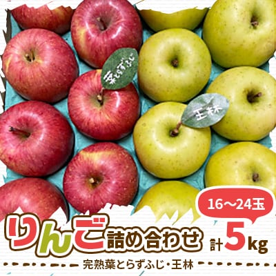 【青森市産　完熟葉とらずふじ・王林】 約5kg 16〜24玉(家庭用)【配送不可地域：離島・沖縄県】【1181953】