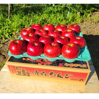 【訳あり】青森県産りんご「サンつがる　家庭用」約5kg　産地直送!【配送不可地域：離島】【1513092】