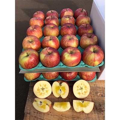 りんご 完熟葉とらずふじ 10kg (家庭用)【配送不可地域：離島】【1181955】