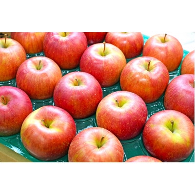 【26年4月より順次発送】平均糖度13度以上! シナノスイート 約5kg おもてなし用 クール便【配送不可地域：離島・沖縄県】【1611738】