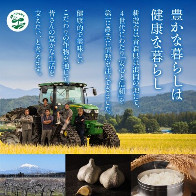 黒にんにく くろすけ120g×10袋(合計1.2kg)青森県産バラ黒ニンニク【1456597】