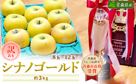 りんご 「シナノゴールド」 訳あり 【スマートフレッシュ貯蔵】 約3kg (8〜12玉) 家庭用【配送不可地域：離島・沖縄県】【1287592】