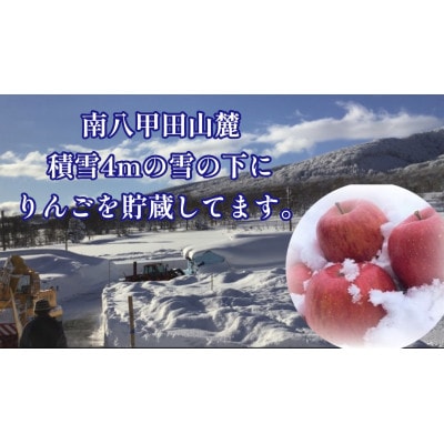 【2025年3月発】希少なりんご!　青森雪貯蔵りんご(サンふじ)　3kg箱【離島・沖縄配送不可】【配送不可地域：離島・沖縄県】【1423601】