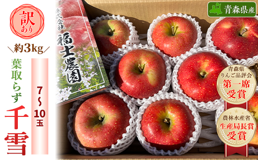 「葉取らず千雪」約3kg・訳あり家庭用りんご【配送不可地域：離島・沖縄県】【1377377】