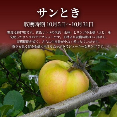 【青森直送 季節の味覚をお届け!】サンとき 5kg×1箱(訳あり)2026年産 産地直送 限定生産【配送不可地域：離島】【1700985】