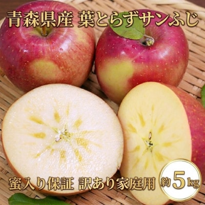 【26年11月から発送】平均糖度13度以上! 蜜入り 葉とらずサンふじ 約5kg 訳あり 青森りんご【配送不可地域：離島・沖縄県】【1612855】