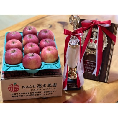 「葉取らず早生ふじ」約3kg・訳あり家庭用りんご【配送不可地域：離島】【1287594】