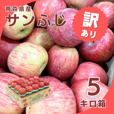 【令和7年1月下旬頃発送】産地直送 青森県産 訳ありサンふじ 5キロ箱 10〜23玉 青森県産りんご【配送不可地域：離島・沖縄県】【1288123】