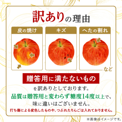 【りんご品評会最高賞】「サンふじ」約3kg・糖度14度以上保証・訳あり 家庭用 りんご【配送不可地域：離島】【1106865】