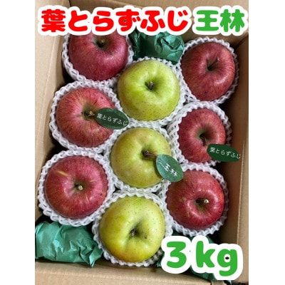 【青森市産　完熟葉とらずふじ・王林】約3kg 8〜12玉(家庭用)【1181967】
