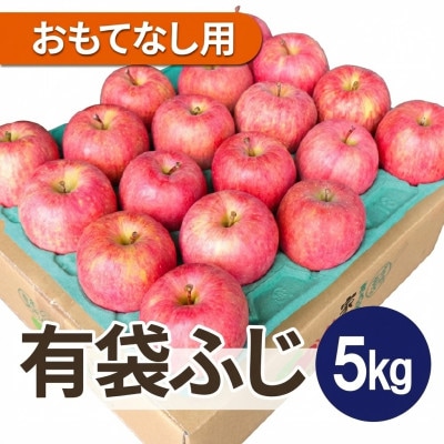 【27年4月から順次発送】平均糖度13度以上! 有袋ふじ 約5kg おもてなし用 CA貯蔵 クール便【配送不可地域：離島・沖縄県】【1392306】