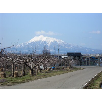 【百年続く青森のりんご農家直送】葉とらずサンふじ 　約3kg　贈答用【12月から発送開始】【配送不可地域：離島】【1506061】