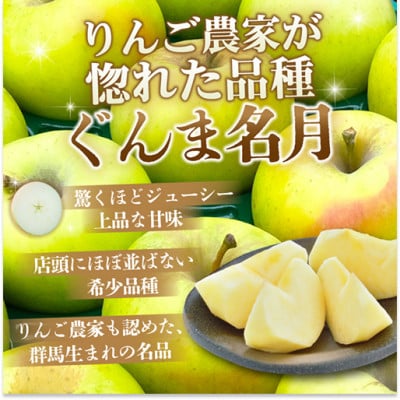 【26年4月〜26年5月出荷予定】平均糖度13度以上!ぐんま名月 約3kg 訳あり りんご 青森県産【配送不可地域：離島】【1729068】