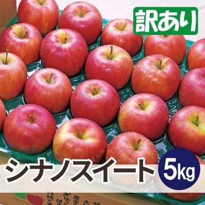 【26年3月出荷予定】平均糖度13度以上! シナノスイート 約5kg 訳あり【配送不可地域：離島・沖縄県】【1612860】