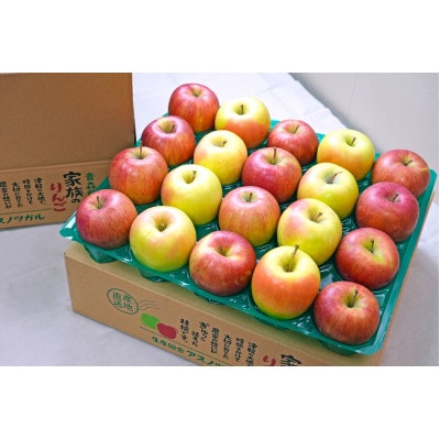 【26年11月出荷予定】糖度13度以上保証! ぐんま名月×シナノスイート 約5kg 訳あり【配送不可地域：離島・沖縄県】【1613011】