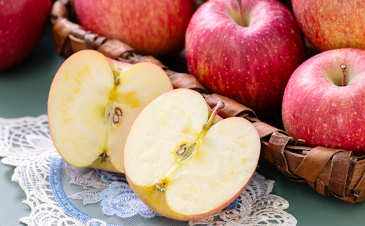 【贈答用にもどうぞ】 青森市産りんご「葉取らずサンふじ」約5kg【配送不可地域：離島・沖縄県】【1466367】