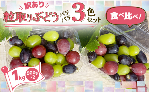 2026年発送【訳あり】粒取り ぶどう バラバラ3色セット 計1kg(500g×2パック)食べ比べ!【配送不可地域：離島】【1613279】