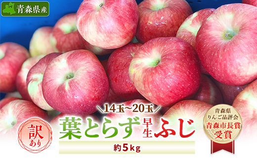 【訳あり】 りんご 葉とらず早生ふじ 家庭用 約5kg (14玉〜20玉)  【配送不可地域：離島・沖縄県】【1142406】