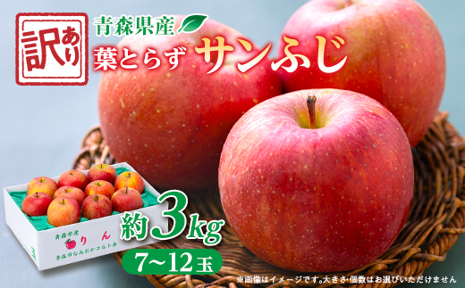 ãèš³ããããããèãšãããµã³ãµãçŽ3kg(ã詊ãçš)ãé
éäžå¯å°åïŒé¢å³¶ã»æ²çžçãã1466365ã