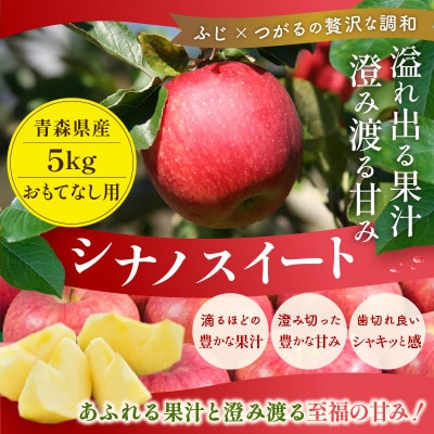 【26年11月より順次発送】平均糖度13度以上! シナノスイート 約5kg おもてなし用　青森りんご【配送不可地域：離島・沖縄県】【1612870】