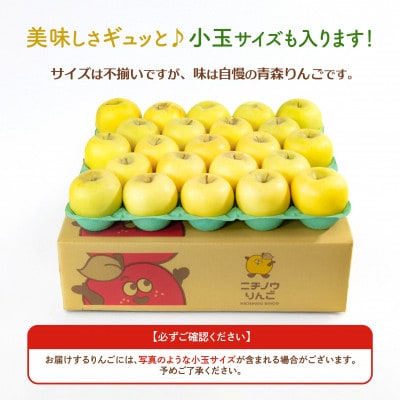 【26年11月より順次発送】平均糖度13度以上! シナノゴールド 約10kg 訳あり　青森 りんご【配送不可地域：離島・沖縄県】【1609631】