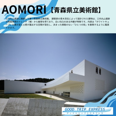 縲触OOD TRIP EXPRESS縲鷹搨譽ョ蟶ゅ↓豕翫∪繧区羅陦後け繝シ繝昴Φ縲9,000蜀蛻縲 ACA003縲1693036縲