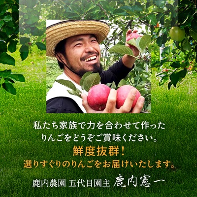 りんご 葉取らずふじ 蜜入判定 3kg (約9〜12個)【配送不可地域：離島】【1085335】