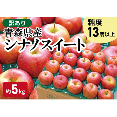 【青森市産】糖度13度以上!訳あり 家庭用りんご(シナノスイート) 約5kg【配送不可地域：離島・沖縄県】【1521237】