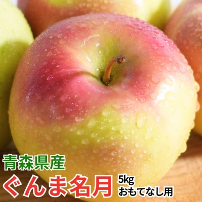 【11月より順次発送】青森県産りんご ぐんま名月 約5kg おもてなし用 平均糖度13度以上!【配送不可地域：離島・沖縄県】【1609634】