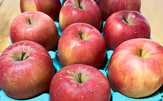 お試し 規格外品 糖度13度以上保証 りんご サンふじ 訳あり 【R7年りんご品評会最高賞】【配送不可地域：離島・沖縄県】【1449164】