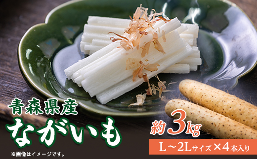 青森県産「ながいも」約3kg(L〜2Lサイズ)×4本入り)【1338374】