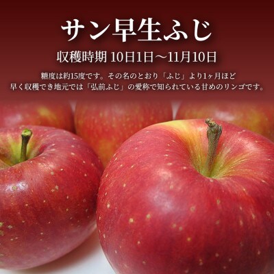 ã鿣®çŽé å£ç¯ã®å³èŠããå±ãããµã³æ©çãµã 10kgÃ1ç®±(èš³ãã)2026å¹Žç£ ç£å°çŽ éå®çç£ãé
éäžå¯å°åïŒé¢å³¶ãã1700979ã