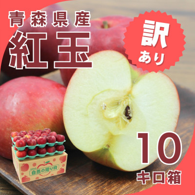 【10月下旬より発送開始】産地直送 青森県産 訳あり紅玉 10キロ箱 26〜56玉 青森県産りんご【配送不可地域：離島】【1290126】