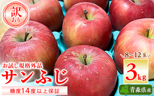りんご お試し規格外品 訳あり サンふじ 糖度14度以上保証【配送不可地域：離島・沖縄県】【1449164】