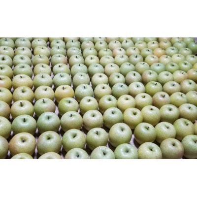 りんごのお菓子　まるごと林檎(干しりんご)7袋_A146【1074182】