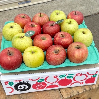 【青森市産　完熟葉とらずふじ・王林】 約5kg 16〜24玉(家庭用)【配送不可地域：離島・沖縄県】【1181953】